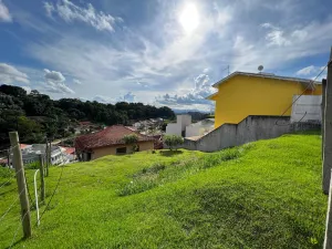 Imóvel TE60